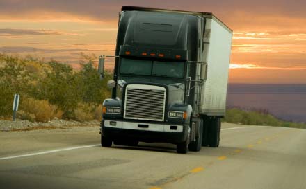  Salinas Forwarding - Truck Transport 